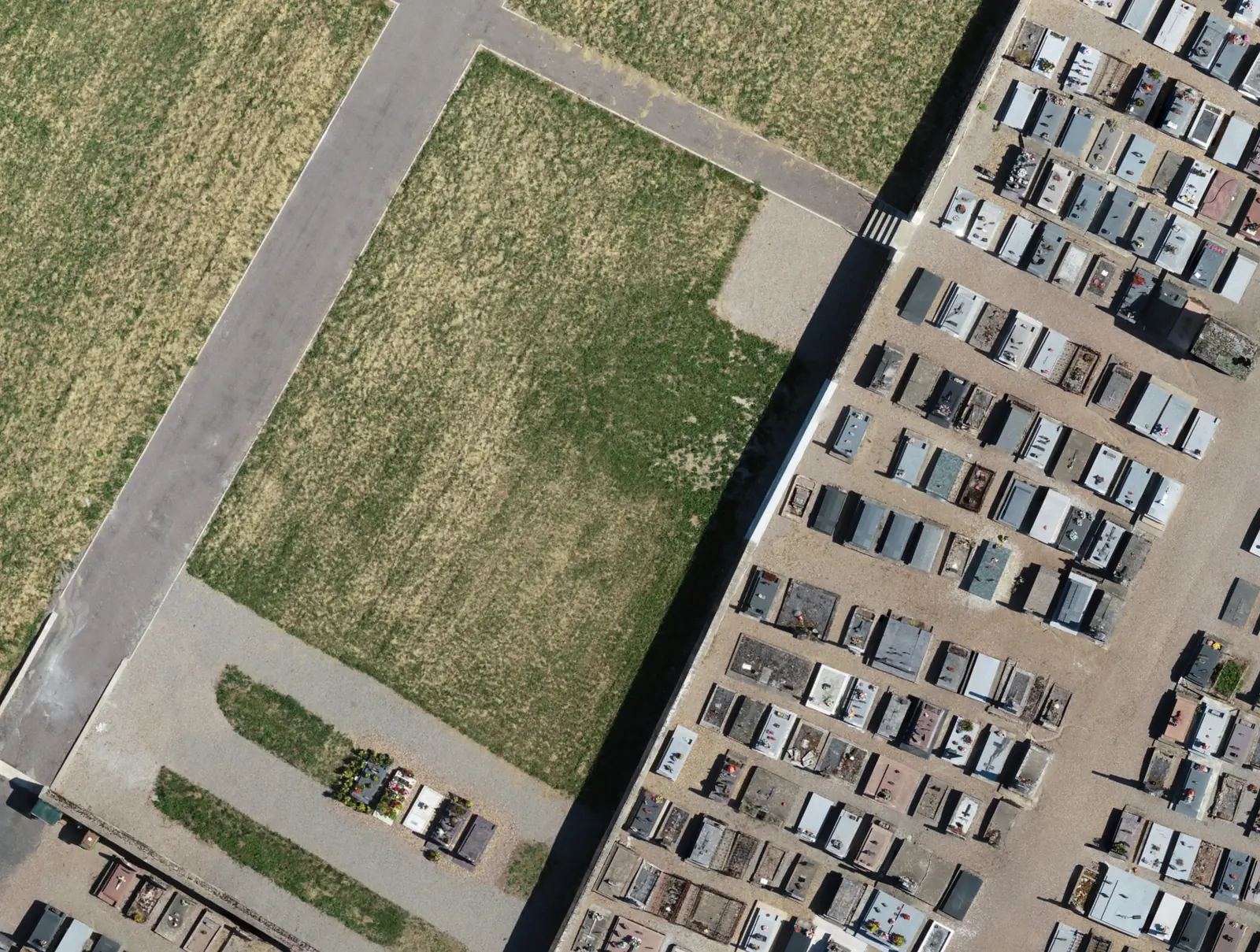 Détail de l'orthophoto : les rangées de tombes et l'extension enherbée.